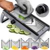 imageFullstar Mandoline Slicer for Kitchen  Stainless Steel Vegetable Cutter ampamp Cheese Grater with Adjustable Blades Safety Glove ampamp Catch Tray Included 7in1 SilverSilver